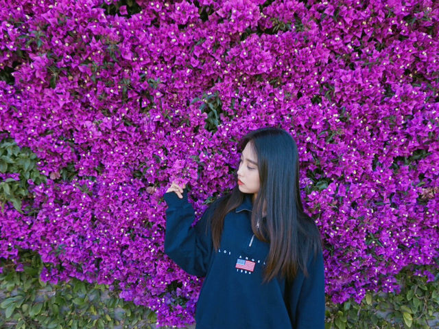 샌프란시스코 금문교 근처 작은 도시 소살리토💛