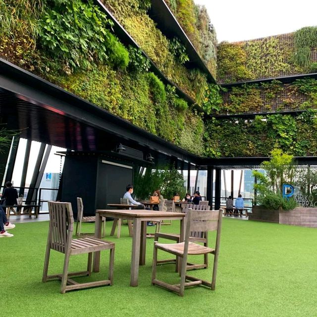 It’s one of the best mall in Ginza area especially rooftop 