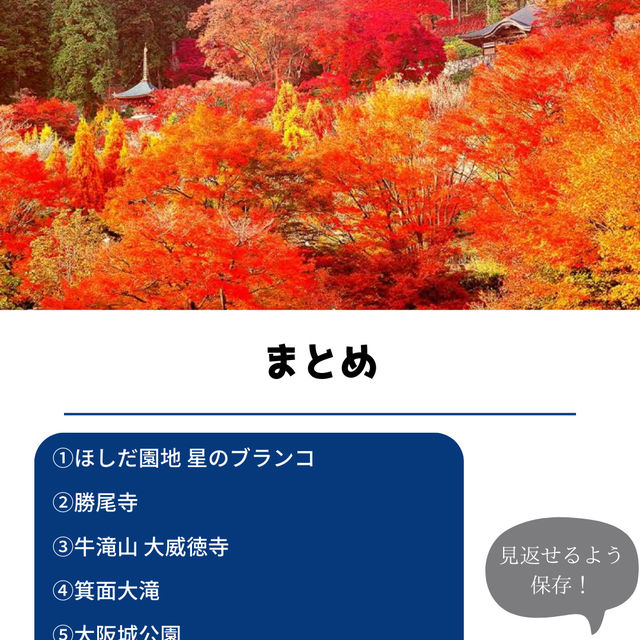【保存必須!!】2024 大阪の紅葉スポット