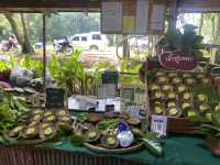 หลาดใต้โหนด ตลาดชิวเมืองพัทลุง