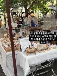 🌴야자수와 함께 인생샷 백장 건질 수 있는🇹🇭치앙마이 코코넛마켓