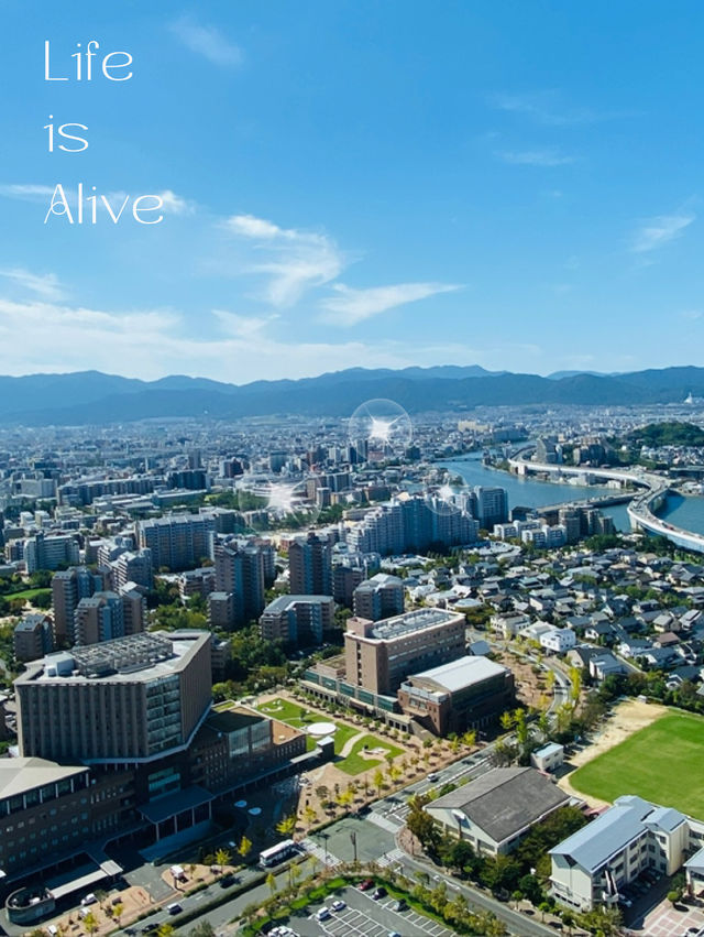 ～海濱塔～