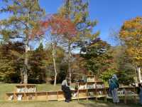 輕井澤紅葉圖書館📚