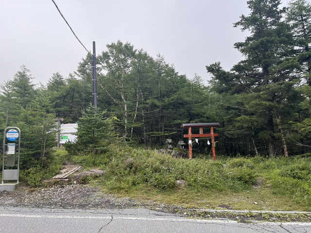 チェリーパークラインで高峰高原をドライブ@長野🛣️