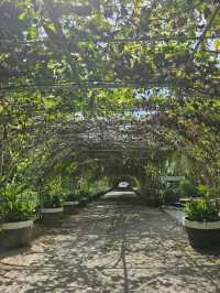 Garin Farm: A Tranquil Retreat in the Heart of Iloilo