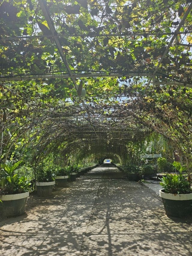 Garin Farm: A Tranquil Retreat in the Heart of Iloilo
