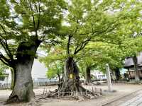【長野県】珍しい三輪鳥居がある神社