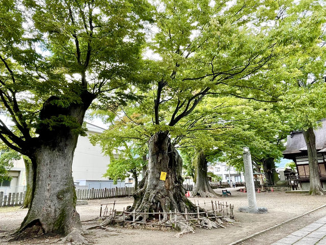 【長野県】珍しい三輪鳥居がある神社