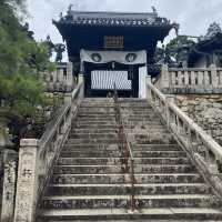 【京都】花手水💐発祥のお寺！