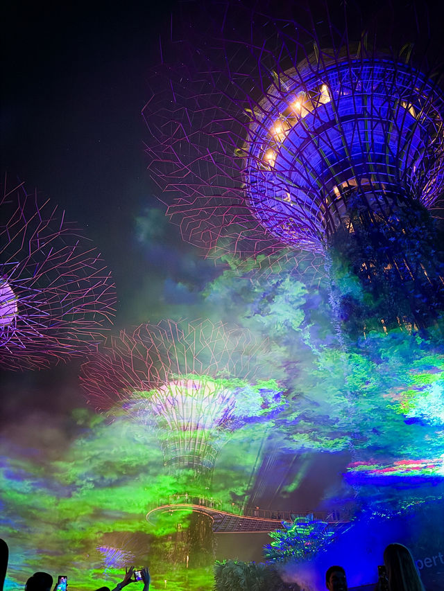 Gardens by the Bay Light Show 🇸🇬 