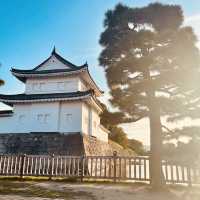 杉原城跡：歷史與自然的完美🏯🌳