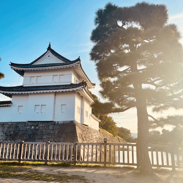 杉原城跡：歷史與自然的完美🏯🌳