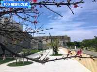 日本沖繩-外型吸睛的縣立博物館&美術館