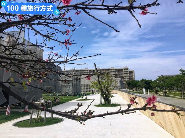 日本沖繩-外型吸睛的縣立博物館&美術館