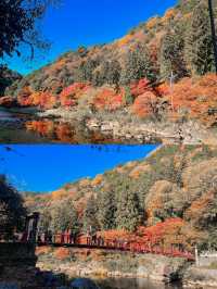 Enchanted Autumn in Korankei Gorge 🍁