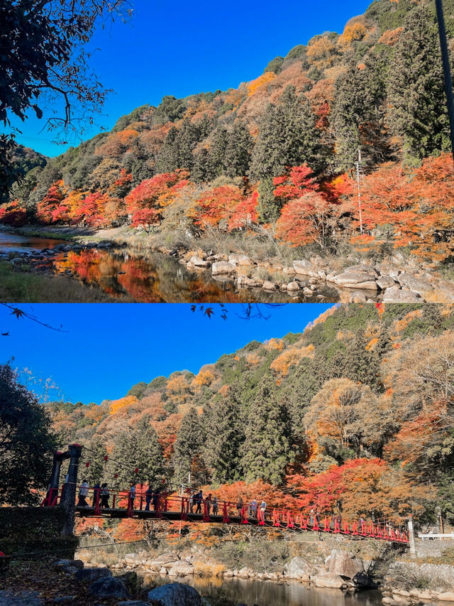 Enchanted Autumn in Korankei Gorge 🍁