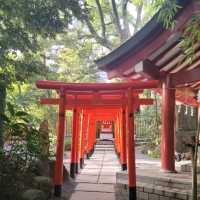 【熱海】来宮神社