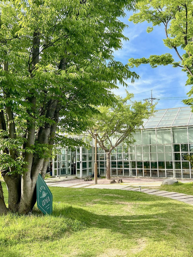 분수+야자수+온실 삼총사 카페💚