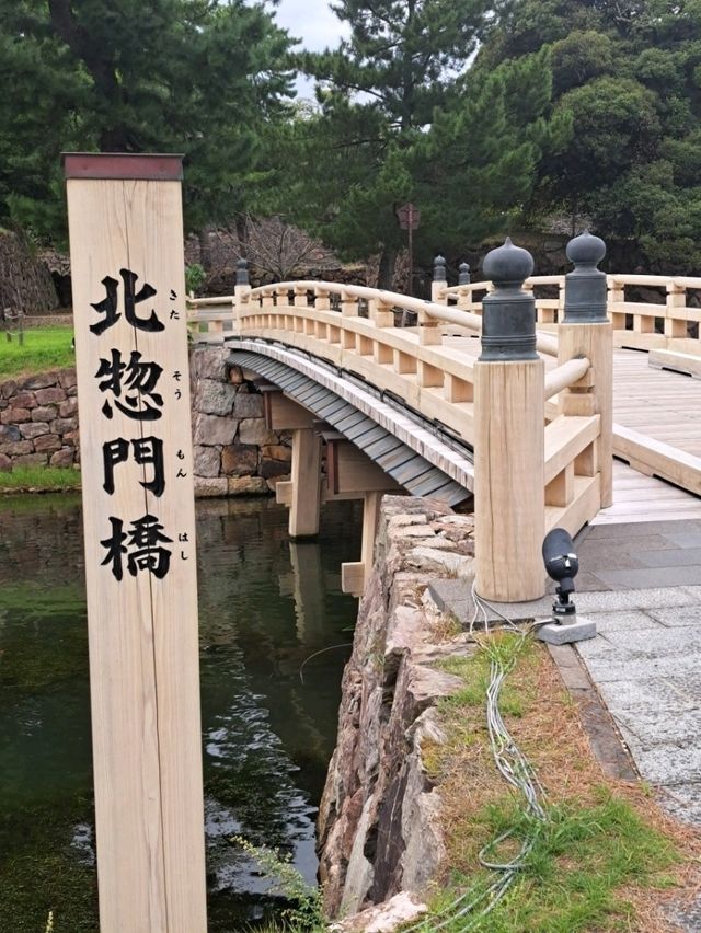 【島根県・松江】神戸から１泊２日で行く女ひとり旅