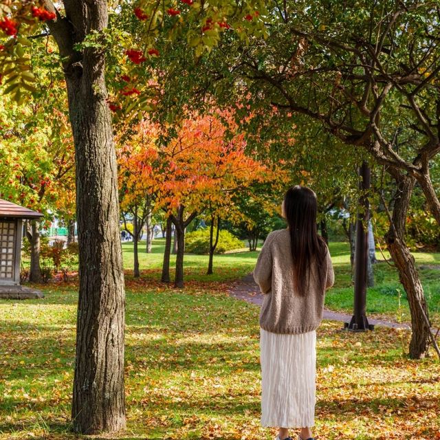 호수 주변의 단풍을 즐기며 하는 산책