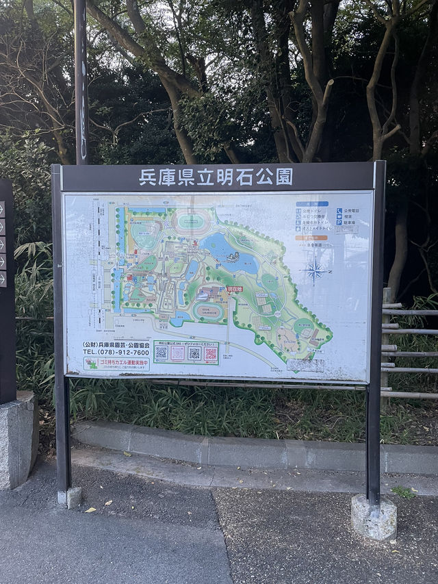 兵庫　18歳以下の子どもがいたら割引！✨明石公園のボート