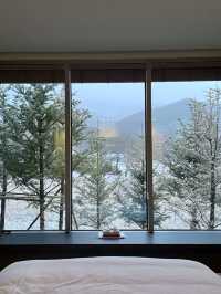 ☃️ 포근한 겨울 감성의 🩵강원도 눈꽃 겨울여행지 추천 🩵