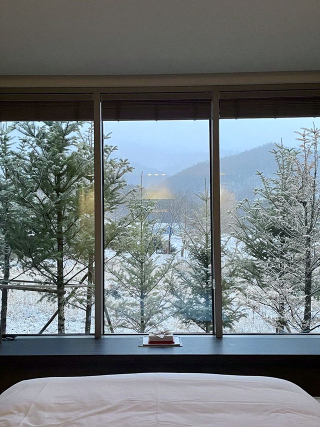 ☃️ 포근한 겨울 감성의 🩵강원도 눈꽃 겨울여행지 추천 🩵