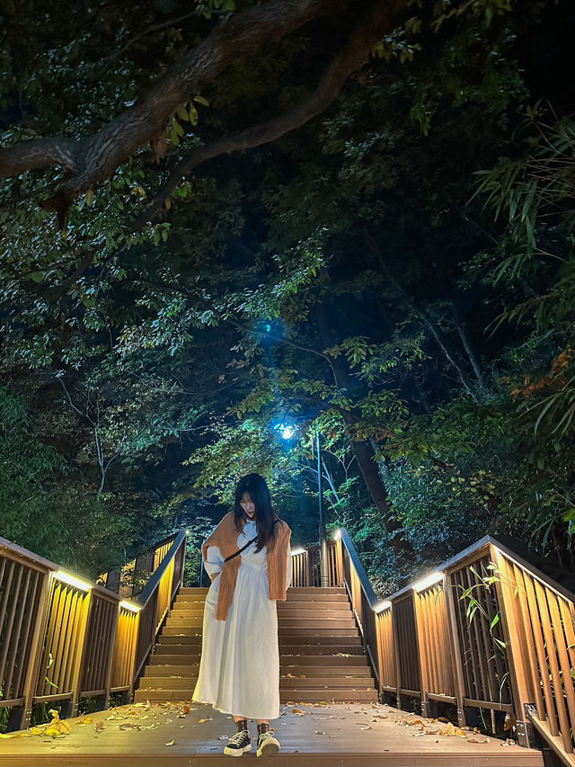 전주 한옥마을을 내려다볼 수 있는 곳