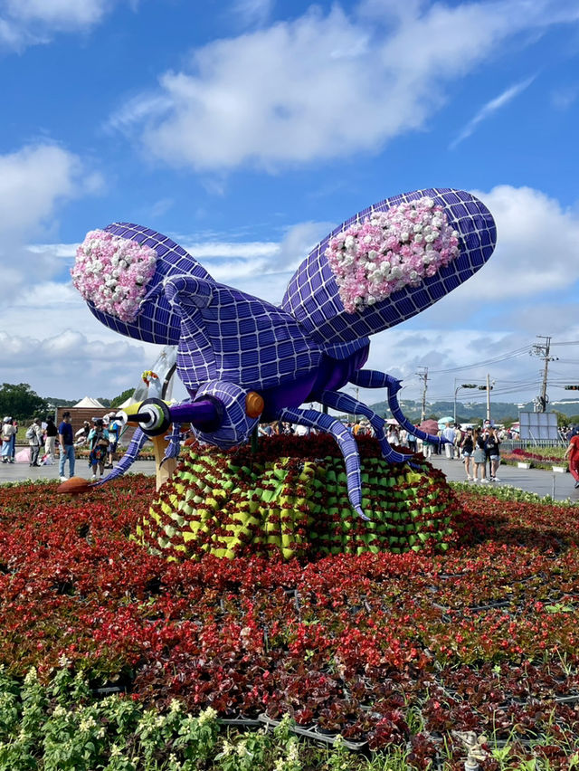 台中 2024國際花毯節