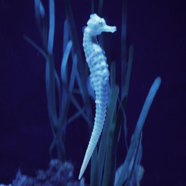 新山動物園：與野生動物近距離接觸 🦒🌿