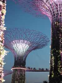 Gardens By The Bay แลนด์มาร์คที่ห้ามพลาดในสิงคโปร์
