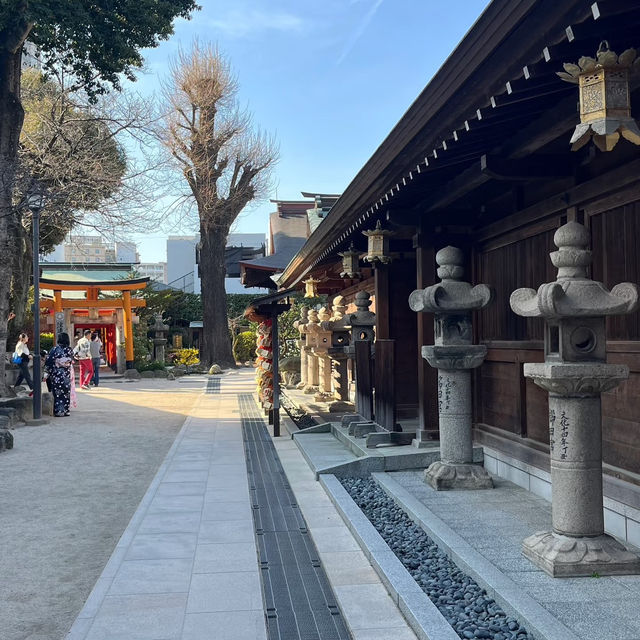 紅葉八幡宮～美麗神社⛩️✨