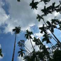 A Serene Escape at Baan Rai I Arun
