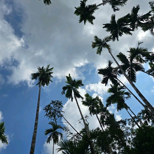 A Serene Escape at Baan Rai I Arun