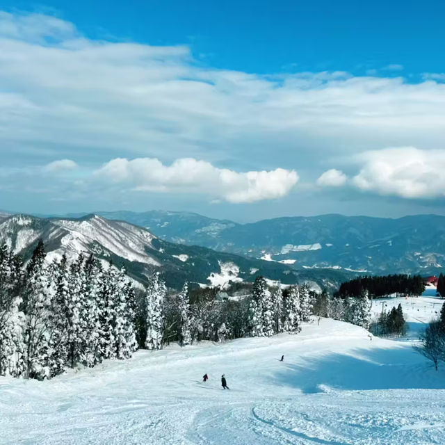 【兵庫】ハチ北スキー場