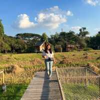 บ้านนาก๋างโต้ง Baan Na Kang Tong Cafe & Homestay