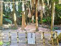 宮崎絕美海岸線 鬼の洗濯板與青島神社