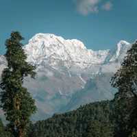 Mardi Himal Trek 