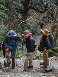 Mardi Himal 