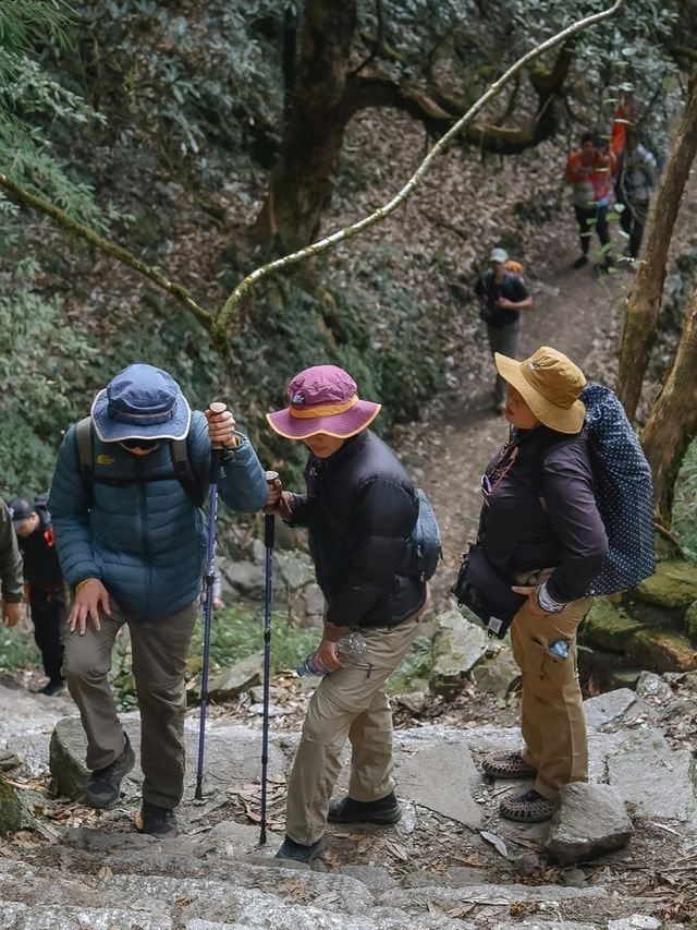 Mardi Himal 