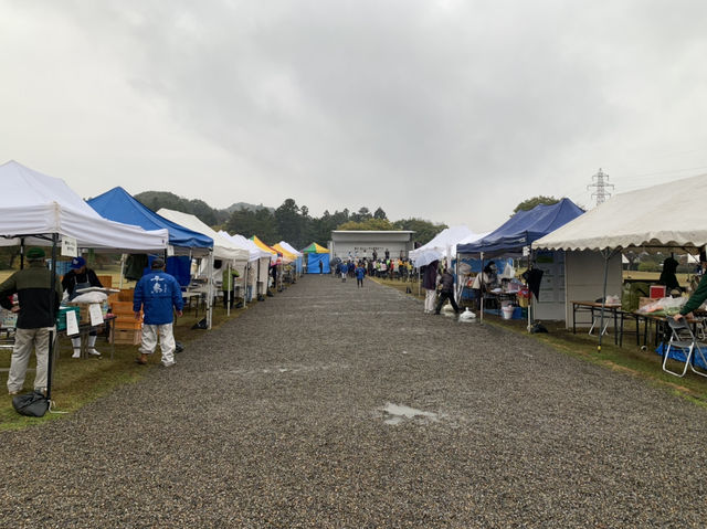 平泉世界遺産　観自在王院跡
