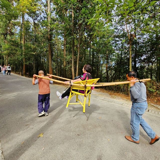 Zhangjiajie National Park: A Two-Day Nature Escape