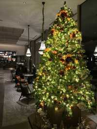 도쿄타워 옆에서 느끼는 ✨낭만적인 도쿄의 크리스마스 투어 여행지🎄