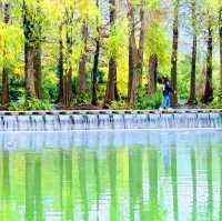 花蓮雲山水夢幻湖