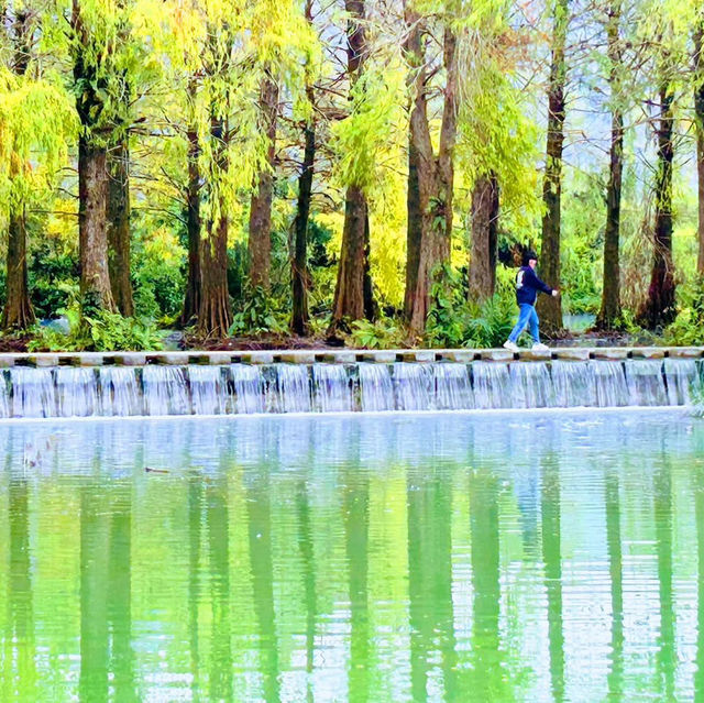 花蓮雲山水夢幻湖