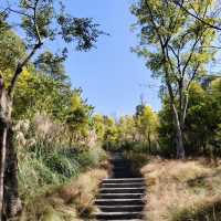 ～雲棲山谷營地～綠野中的“露營大冒險”～