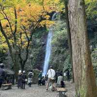 日本百名瀑　養老の滝