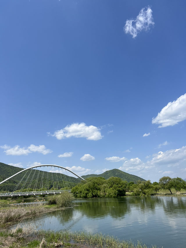 Water garden ที่นัมยางจู