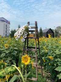 ร้านชาจุดเช็คอินใหม่ริมเลียบด่วน! CHA3MA🌻