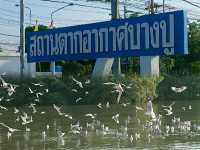 พาคุณพ่อมาสูดอากาศดีๆที่บางปู